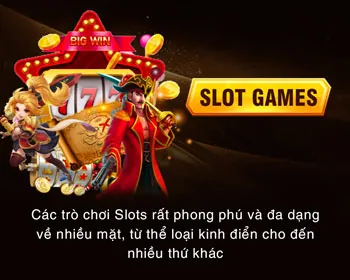 Giao diện quản lý cài đặt cookie